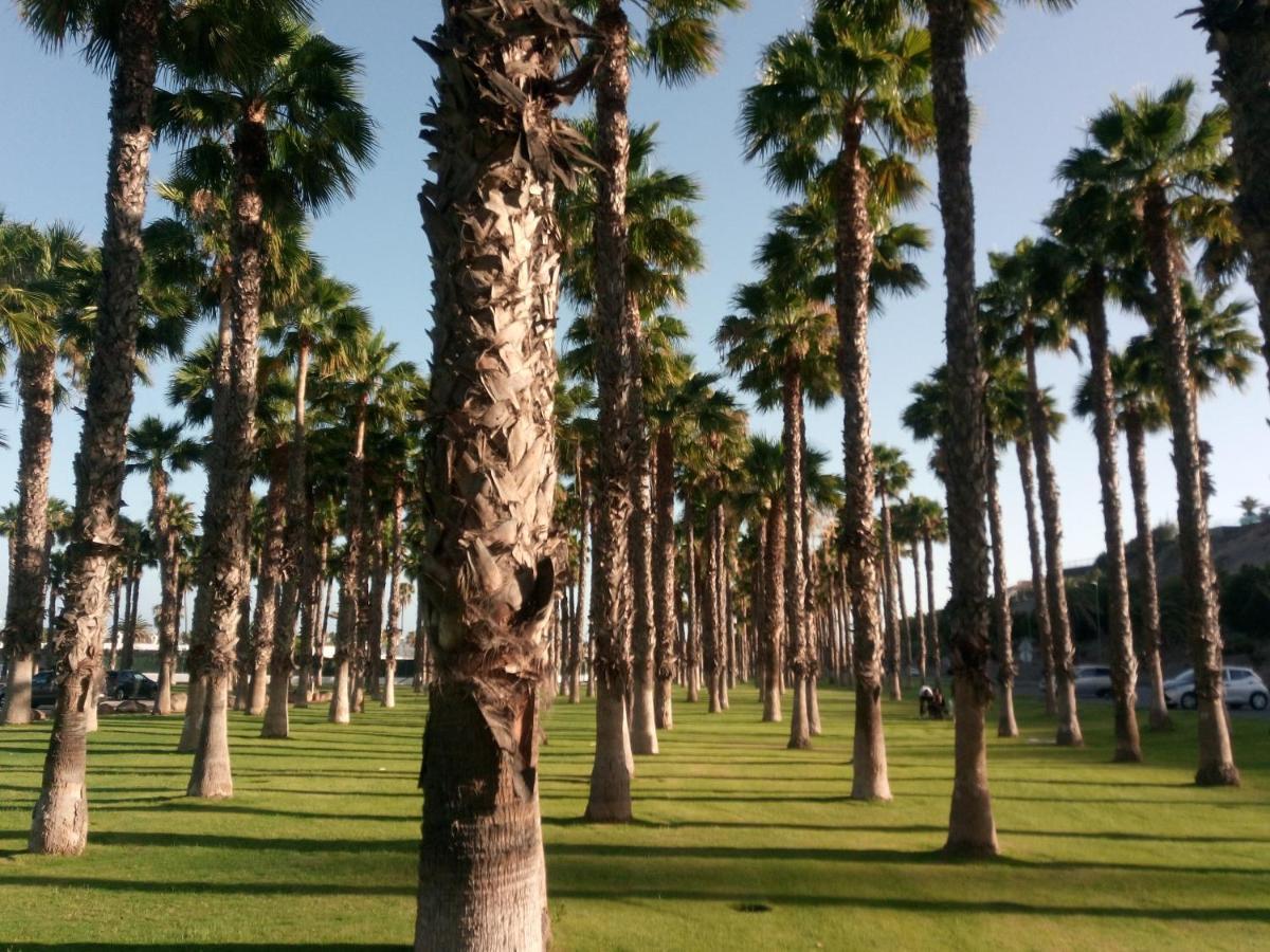 Apartamento Garland Agaete Parque Playa del Inglés Extérieur photo
